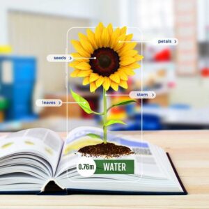 AR in education